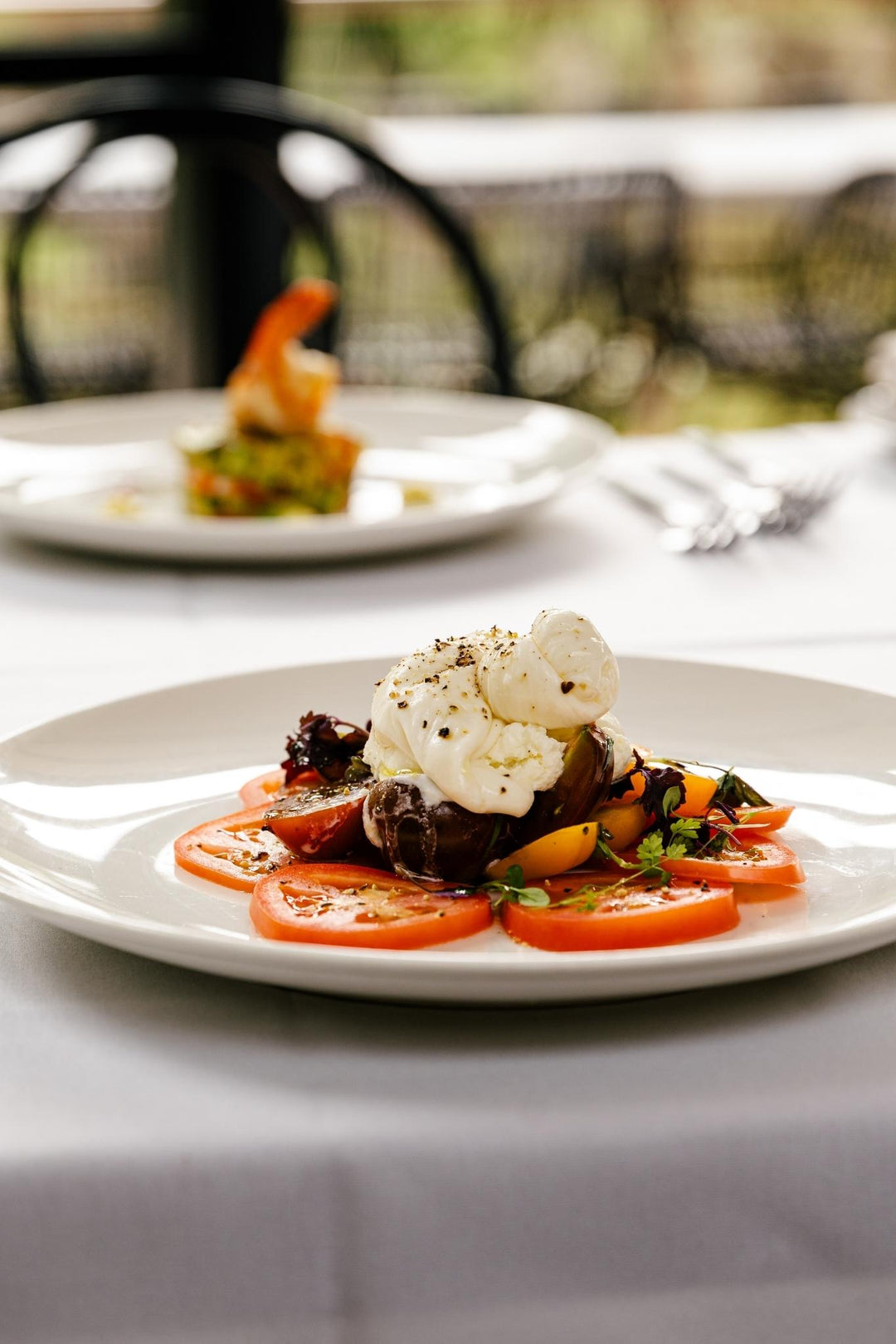 Plated dish with tomatoes and a white sauce on a table outdoors.